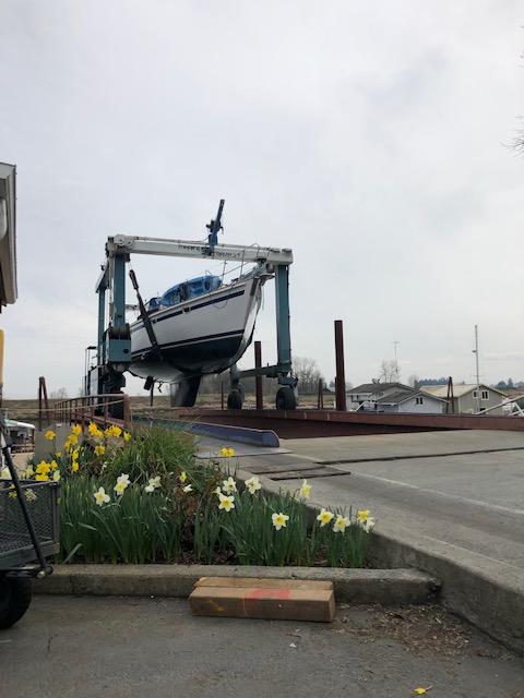 Spring has sprung...so has our boat...right out of the water!
